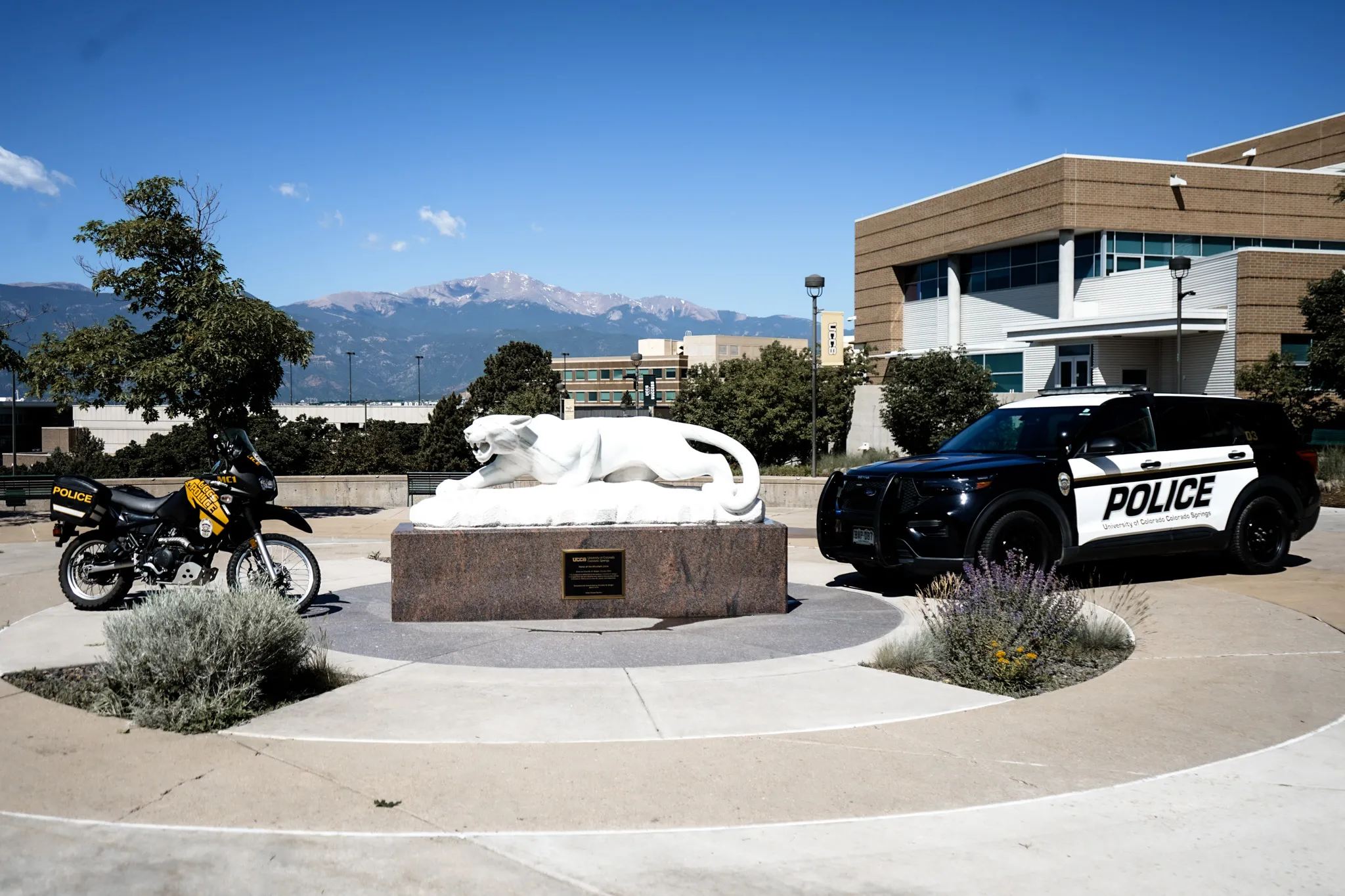 Public Safety Vehicles parked next to Mountain Lion Statue
